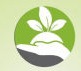 Consultoria Agronômica