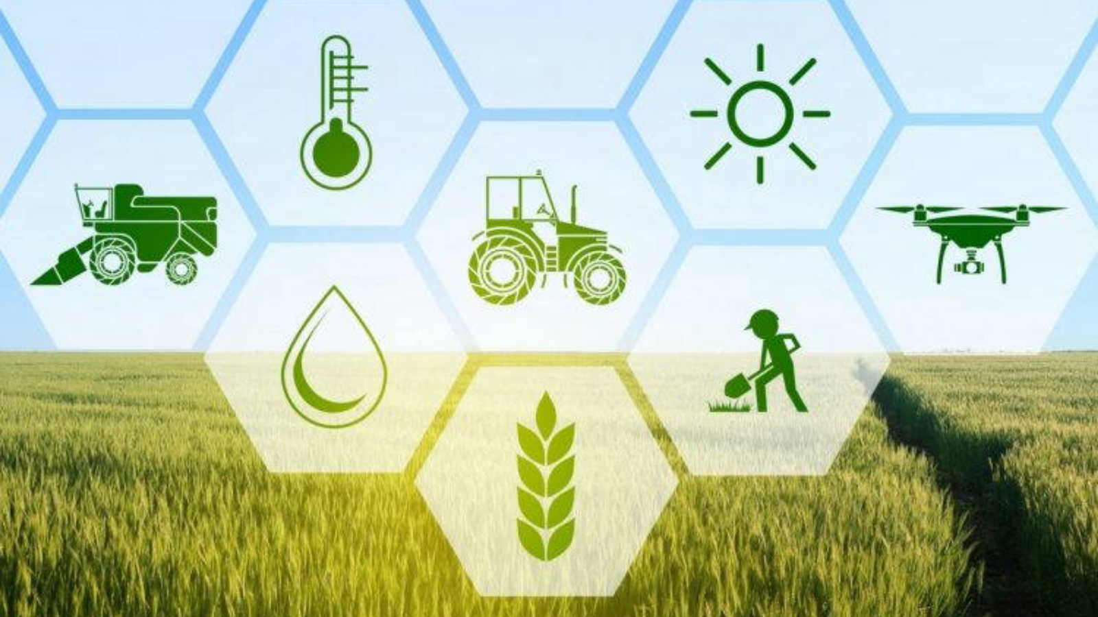 AGROVIDA