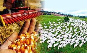 Consultoria Agronômica